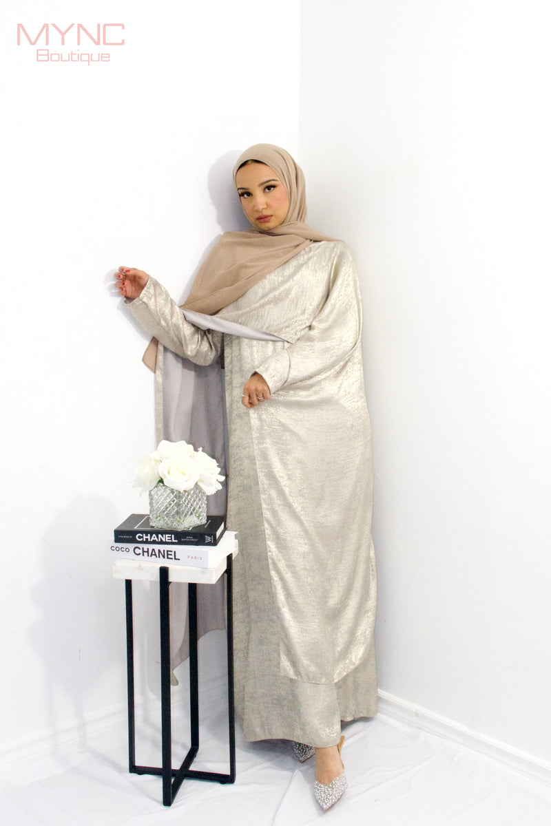 Nisa Dress in Silver